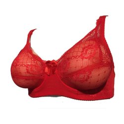 Breast Form Pocket Bra
