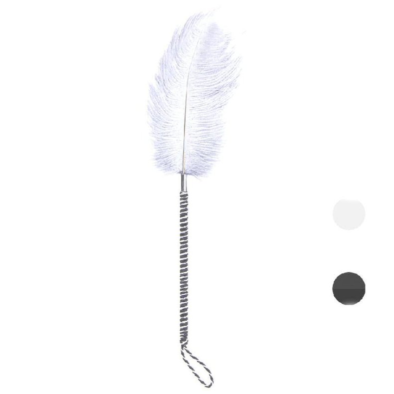 Playful Feathers Tickler