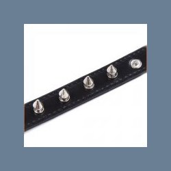 Fetish metal Halsbnd med ring