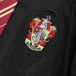 Harry Potter kostume