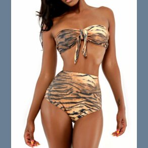 Hj talje brasilianske bikini