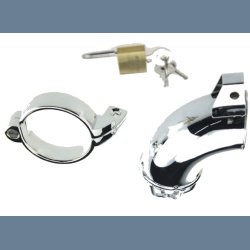 Penisbur Houdini Diamantrr