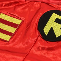 Robin Kostume