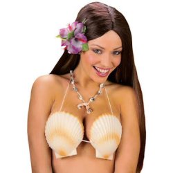 Hawaii BH, muslingeskaller