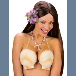 Hawaii BH, muslingeskaller