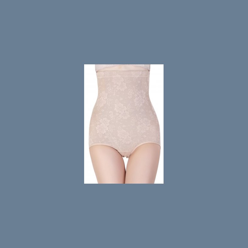Nude Hip Enhancer Tummy Control Panty