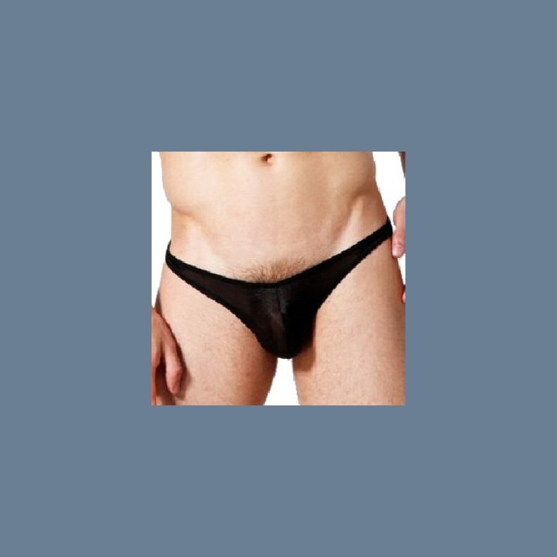 Organdy Sexy Men Thong