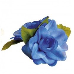 Hrblomst Hawaii Tema