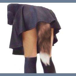 Fox Tail Butt Plug