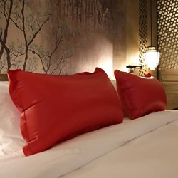 Oppustelig Hoved Pude