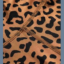 Leopard Sport Bra Pants Set