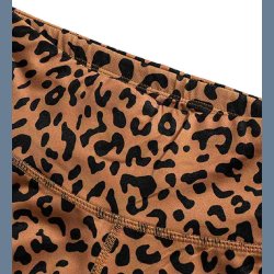 Leopard Sport Bra Pants Set