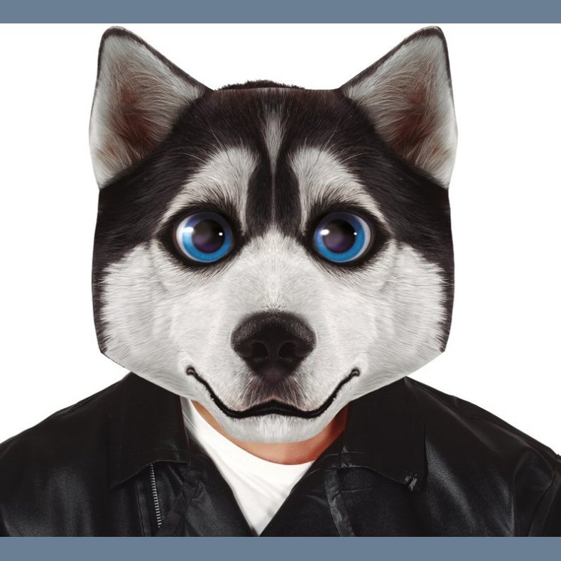 Sibirsk Husky Maske