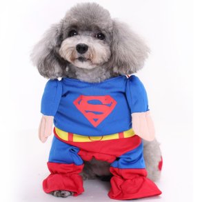 Superman Hunde Kostume