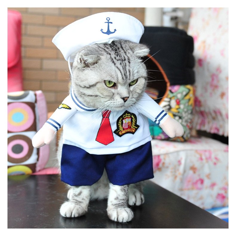 Kaptain Kostume for Kat