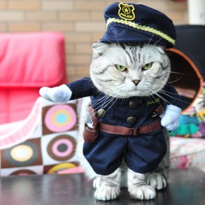 Policeman Kostume for Katte