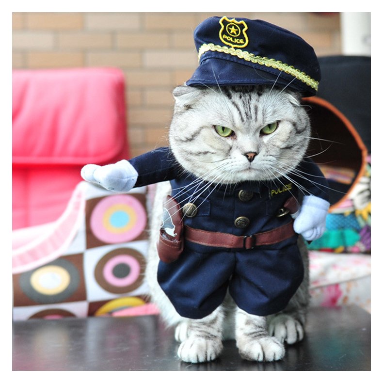 Policeman Kostume for Katte