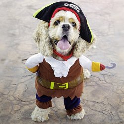 Hunde Pirat Kostume