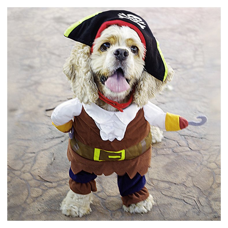 Hunde Pirat Kostume