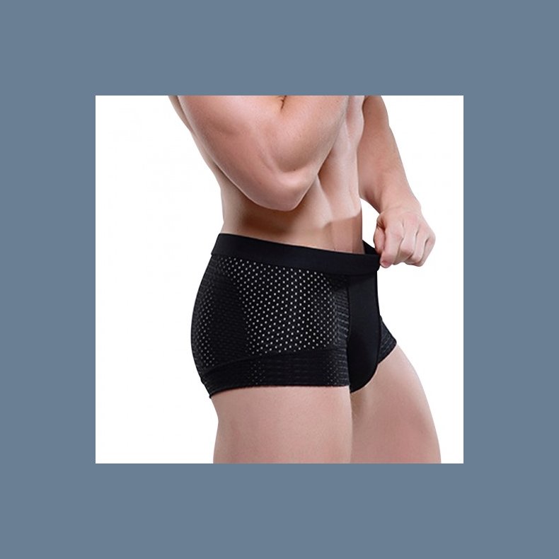 Boxer Herre