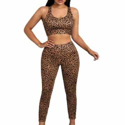 Leopard Sport Bra Pants Set