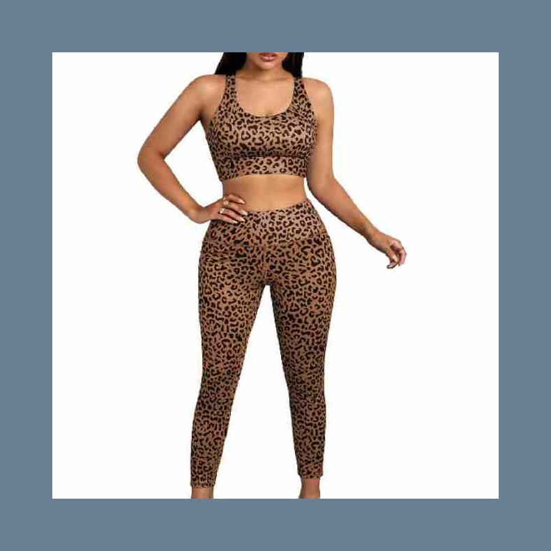 Leopard Sport Bra Pants Set