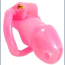 CB-3000 Hide Lock Male Chastity Device