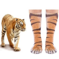 3D Tiger sokker