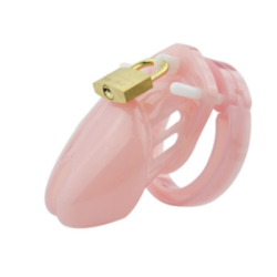 CB-6000S Kyskhedsblte