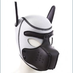 Latex Hunde htte