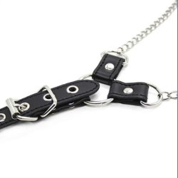 Brystklemmer og Penisring St