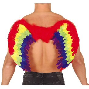 Regnbuefarvet Vinger