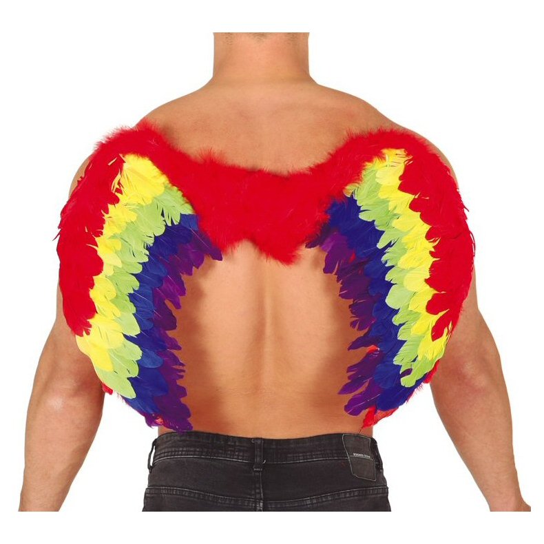 Regnbuefarvet Vinger