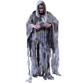 Voksen Vindnd Kostume