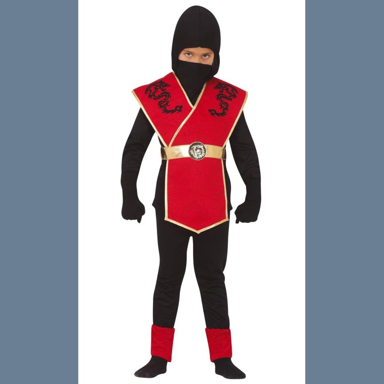Ninja Kostume 