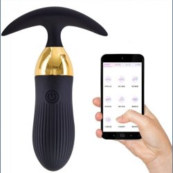 APP Control Anal Vibrator
