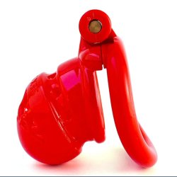 Bird Cage Penis Lock Sex Slave