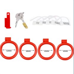 Bird Cage Penis Lock Sex Slave