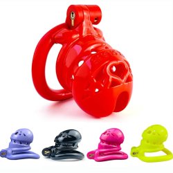 Bird Cage Penis Lock Sex Slave