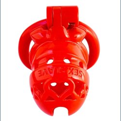 Bird Cage Penis Lock Sex Slave