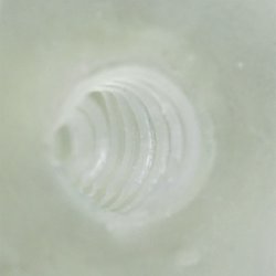 Klar Ghost Masturbator