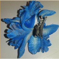 Hrblomst Hawaii Tema