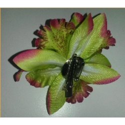 Hrblomst Hawaii Tema