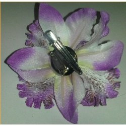 Hrblomst Hawaii Tema