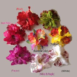 Hrblomst Hawaii Tema