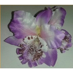 Hrblomst Hawaii Tema