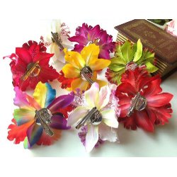 Hrblomst Hawaii Tema