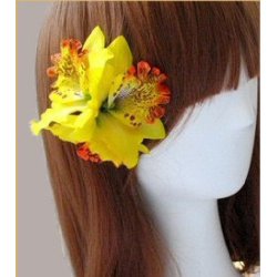 Hrblomst Hawaii Tema