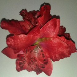 Hrblomst Hawaii Tema