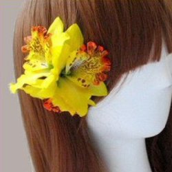 Hrblomst Hawaii Tema